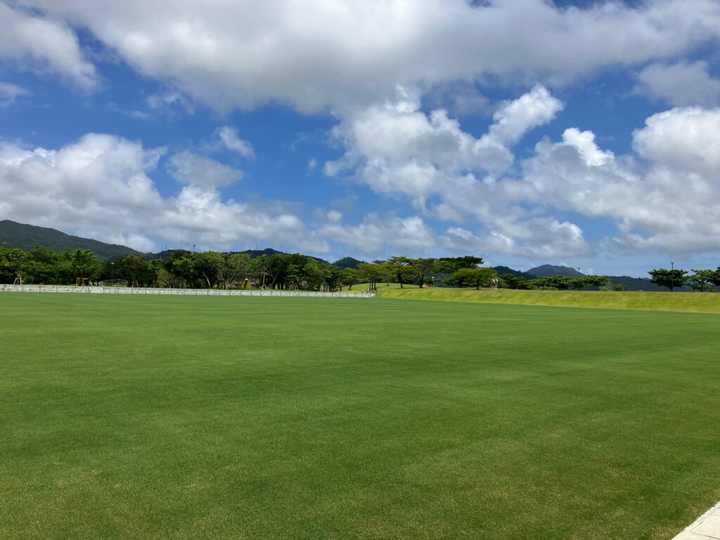 21世紀の森公園の風景