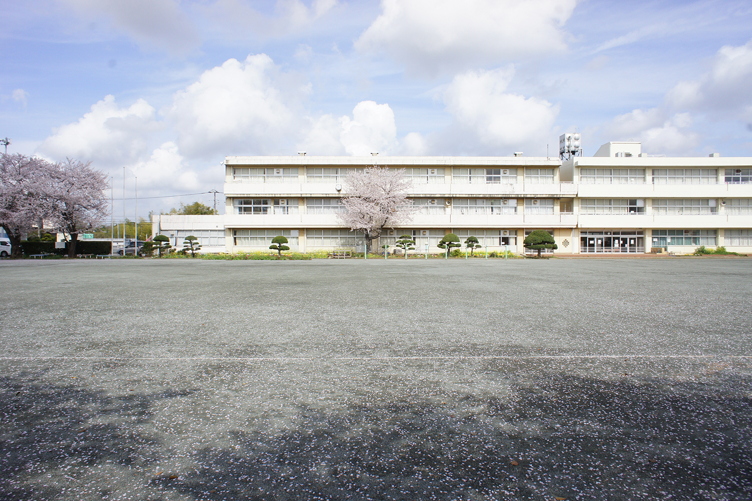 佐倉市立千代田小学校校庭の写真