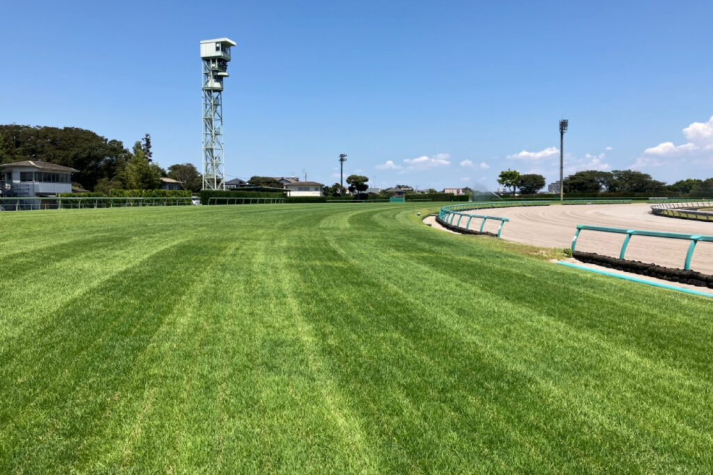中山競馬場