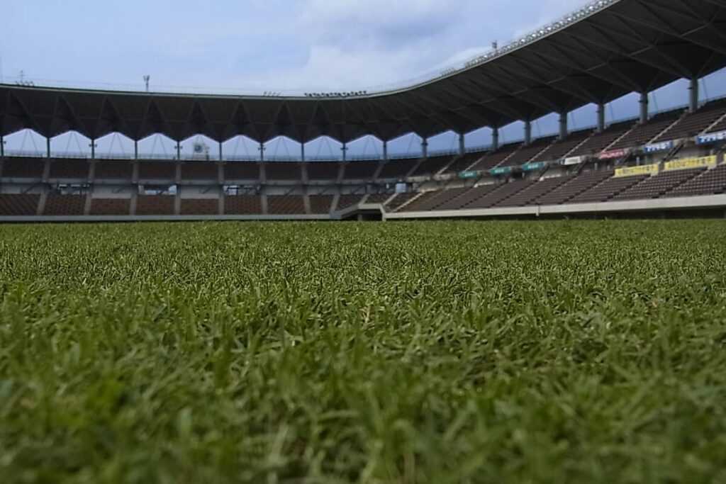 サッカー競技場の天然芝ピッチ