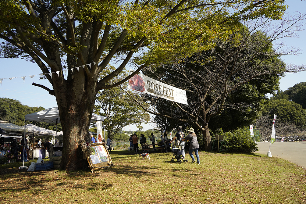 野津田公園で開催されたROSE FEST 2024 秋の会場の様子