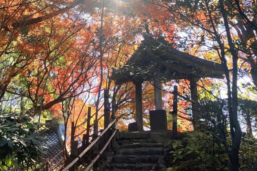 哲学堂公園