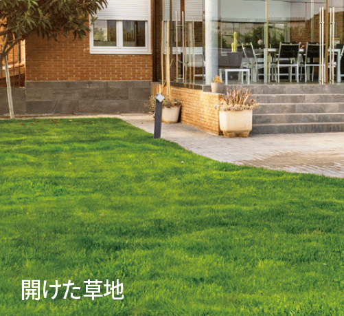 建物周辺の開けた芝生エリアのイメージ