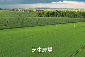 芝生農場での利用イメージ
